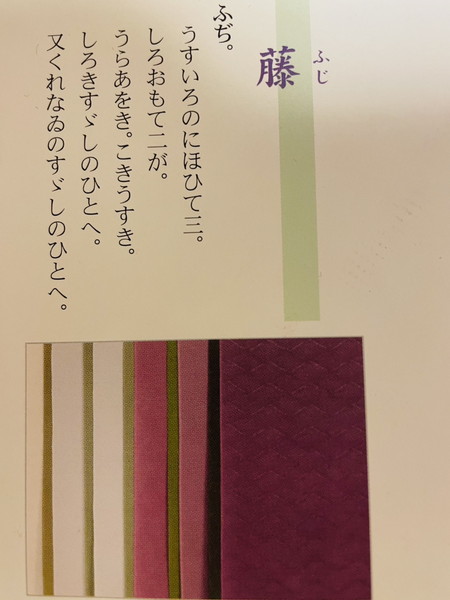 藤　襲色目写真