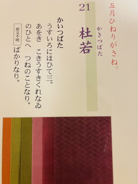 杜若　襲色目写真