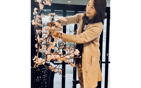 2024年3月　桜のディスプレイ🌸