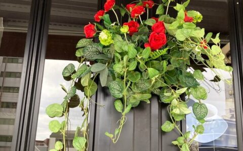 2024年5月　店舗入り口ディスプレイ